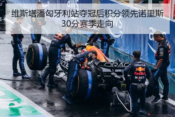 维斯塔潘匈牙利站夺冠后积分领先诺里斯30分赛季走向